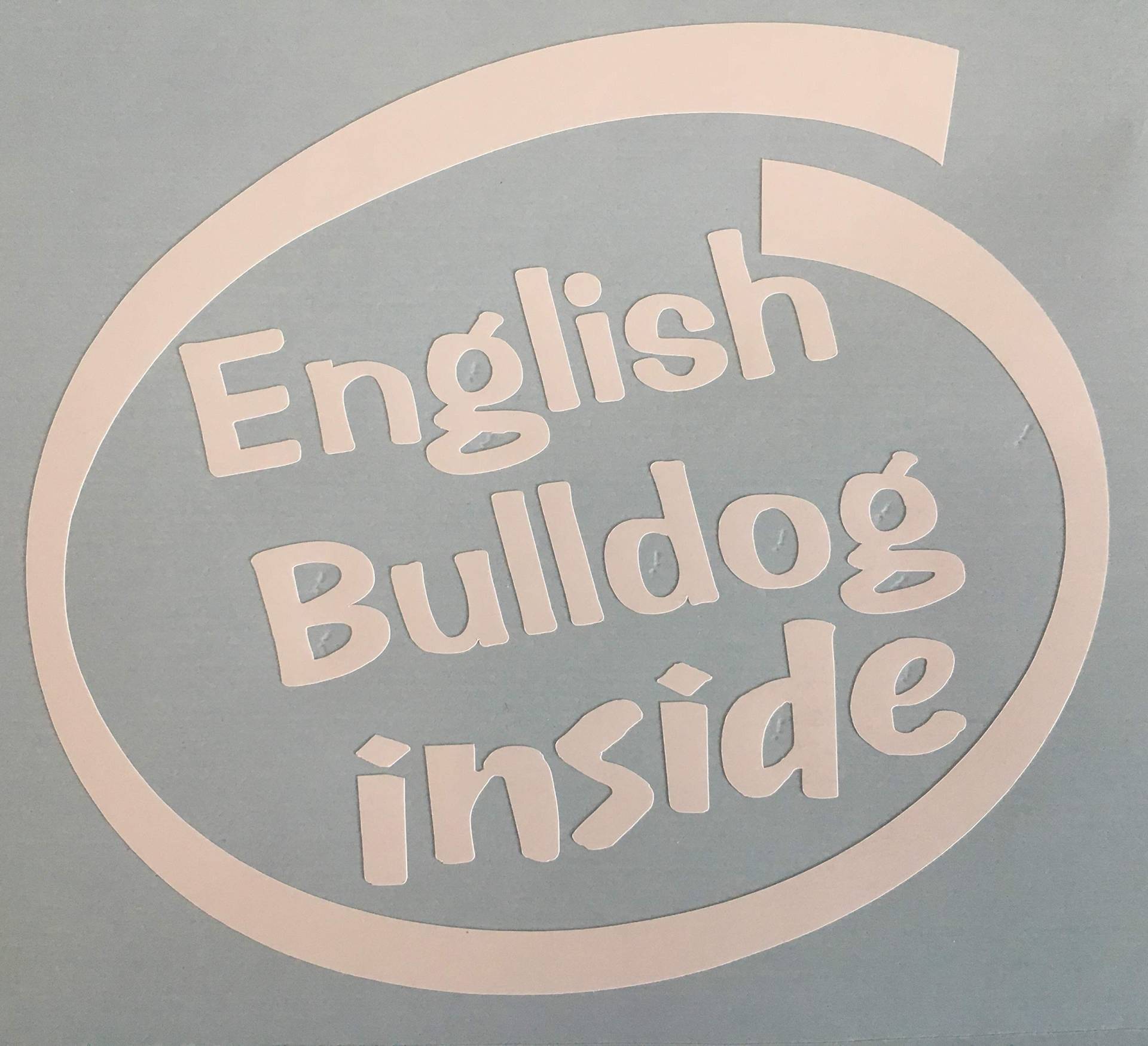 SCOOBY DESIGNS Auto-Fenster-Aufkleber, Motiv: Englische Bulldogge von SCOOBY DESIGNS