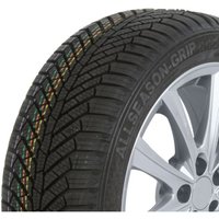 Ganzjahresreifen SEMPERIT AllSeason-Grip 175/70R14 XL 88T von SEMPERIT