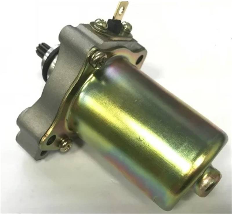 Anlasser Anlasser Für Racing Für ROTAX MAX FR125 125cc GO Für Kart Für Racing Starter von SGHFUVE