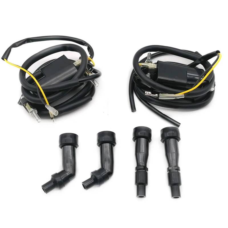 Motorrad Zündungen Für CB650 750 900 GL1100 1200 2 Stücke Motorrad Performance Teile Racing Zündspule System Einheit Zündeinheit von SGHFUVE