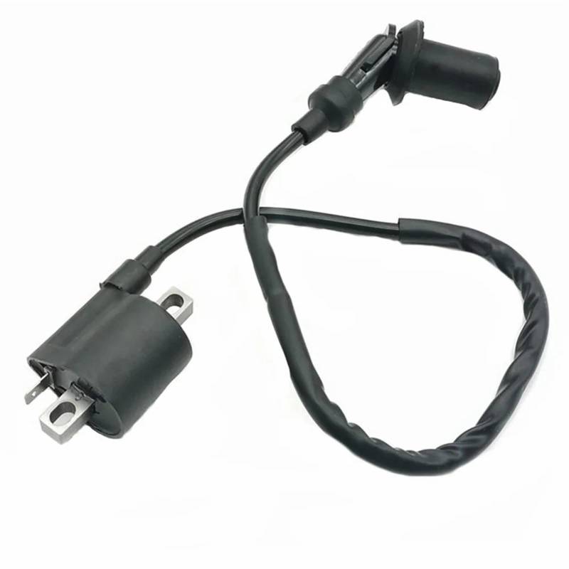 Motorrad Zündungen Für YBR125 2002–2013 Motorrad-Performance-Teile 12-V-Zündspule Ignite System Unit Zündeinheit von SGHFUVE