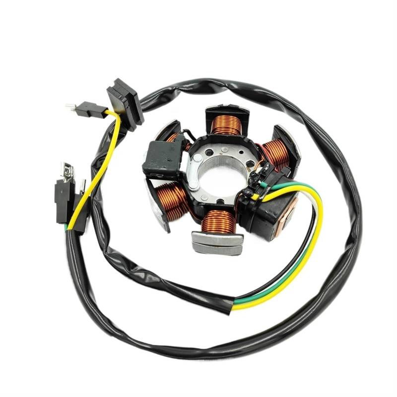 SHENHUO Spule für elektrisches Motorrad-Feuerwehrauto Generator Statorplatte Lichtmaschine für Magnetspule für Aprilia RS50 RX50 MX50 für TZR50 von SHENHUO