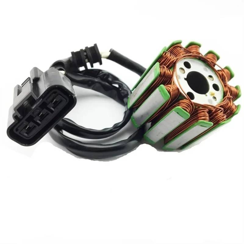 SHENHUO Spule für elektrisches Motorrad-Feuerwehrauto Magnetgenerator-Lichtmaschine für Motor-Stator-Ladespule für von SHENHUO