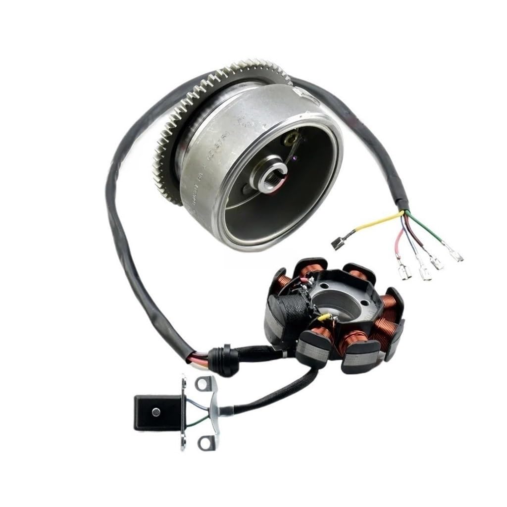 Spule Magneto Zündspule 8 11 12 18 Spule Pol Magneto Fly Rad Mit Stator Für ZONGSHEN CG250 CG200 Für Lifan 250cc Stator Spule Zündung Generator von SHSUBF