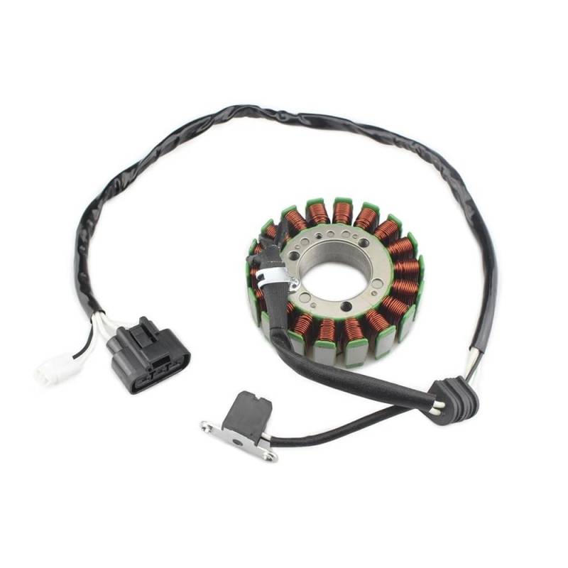 Spule Magneto Zündspule Für Yam&aha RS Rage RSG90 Vector RS90 Vector ER RS90R Berg RS90M GT RS90GT Nytro RS90N Motor Generator Zündung Stator Spule von SHSUBF