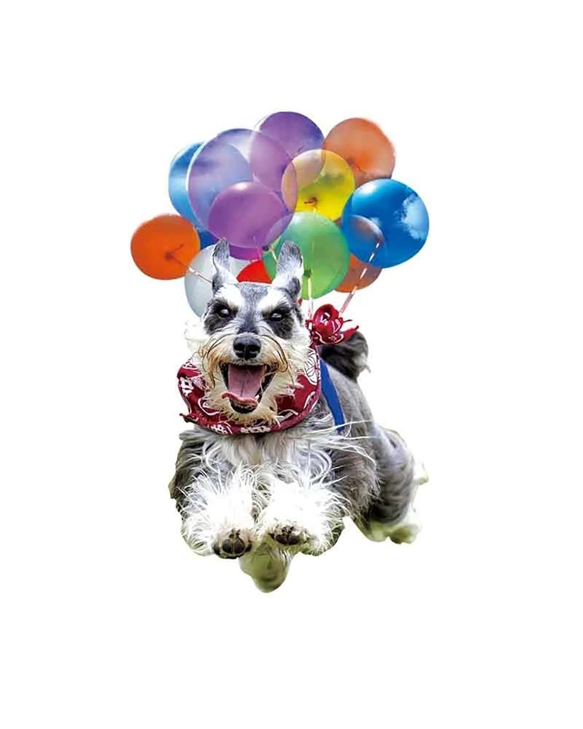 Auto innenspiegel anhänger Bunte Ballon Welpen Auto Anhänger Flach Fliegende Haustier Hund Auto Rückspiegel Anhänger Hängen Niedlichen Hund Ornament Auto Zubehör Rückspiegel Anhänger Auto(MC7) von SHUGWA