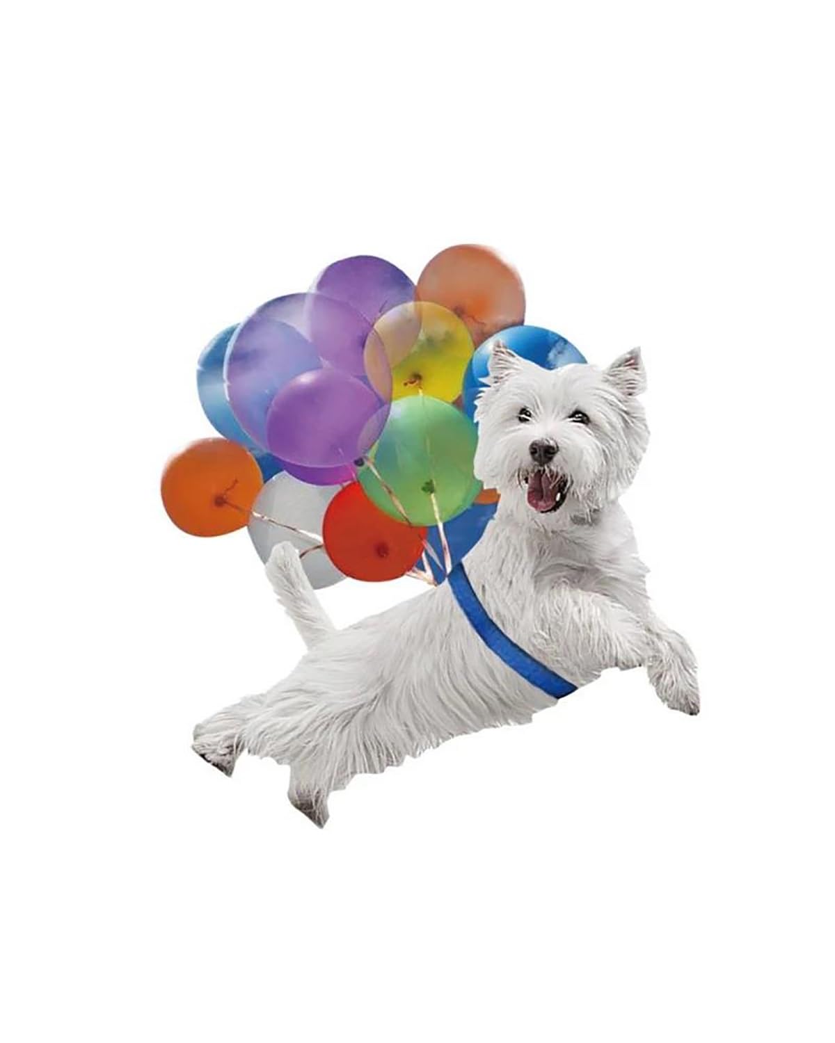 Auto innenspiegel anhänger Bunte Ballon Welpen Auto Anhänger Flach Fliegende Haustier Hund Auto Rückspiegel Anhänger Hängen Niedlichen Hund Ornament Auto Zubehör Rückspiegel Anhänger Auto(MC3) von SHUGWA