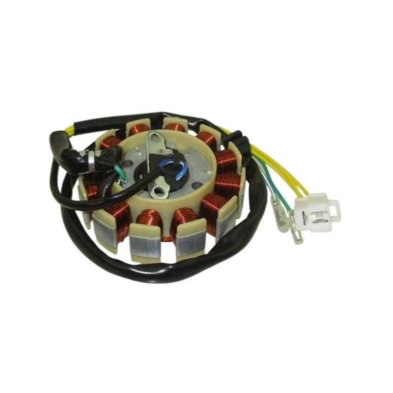 Statorspule Stator Spule 12 Pole Spulen Zündung Stator Magneto Für GY6 125cc 150cc Motor Moped Roller von SIGRIDS