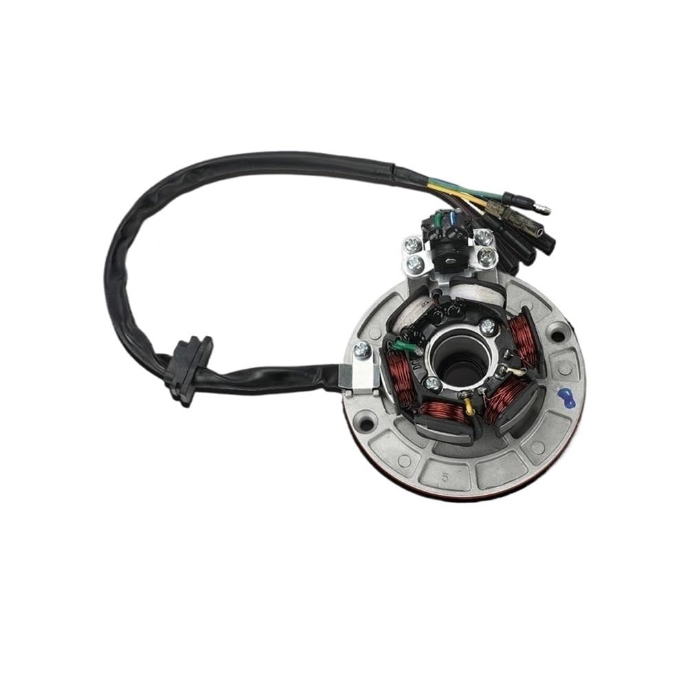 Statorspule Stator Spule 12V AC Zündung Magneto Stator Schwungrad Kit Für YINXIANG YX 140cc 150cc 160cc KAYO BSE Für SDG SSR Pitsterpro Dirt Bike von SIGRIDS