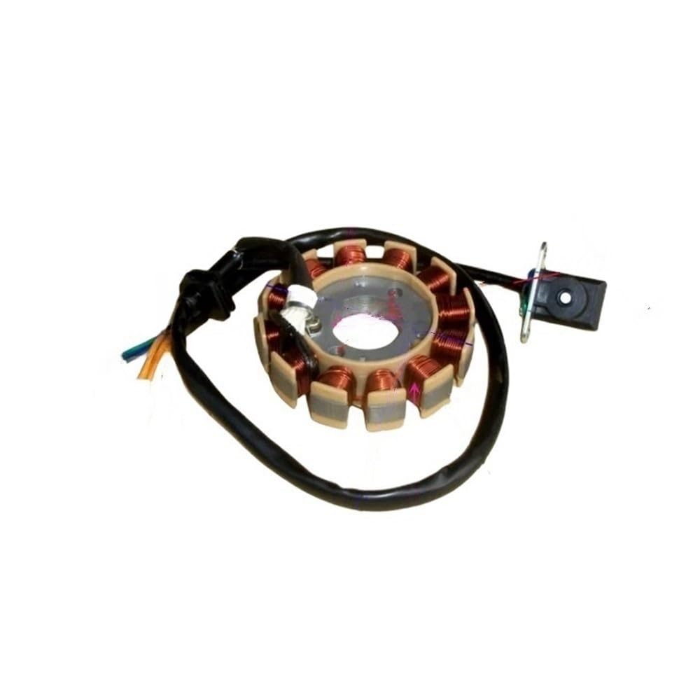 Statorspule Stator Spule 6 8 11 12 18-poliger Elektromagnetischer Motor AC DC Zündspule Stator Roller Für GY6 125c 150 152QMI 157QMJ GY7 von SIGRIDS