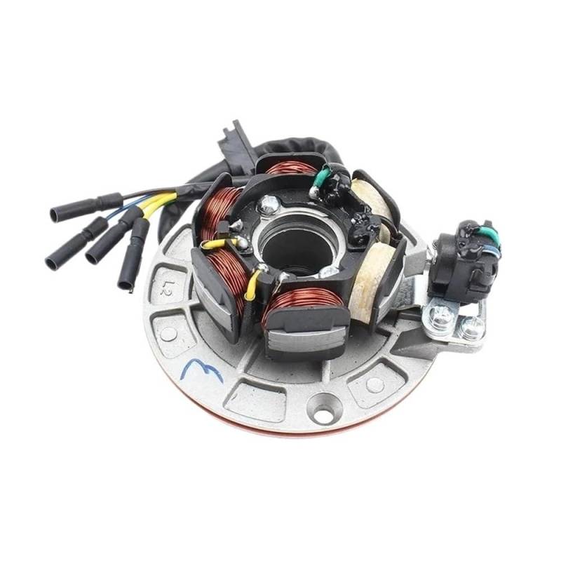 Statorspule Stator Spule AC Zündung Magneto Stator Schwungrad Kit Für YX Ying Xiang 150CC-160CC Motorrad Pit Dirt Bike Spule, von SIGRIDS