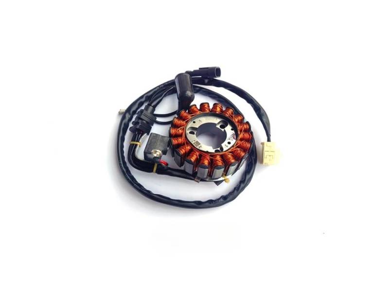 Statorspule Stator Spule Anwendbar Für BYD GTS25 300 Für X7 SR250 300 Magneto Coil Stator Generator Magneto Motor Magneto Stator Exquisite Verarbeitung von SIGRIDS