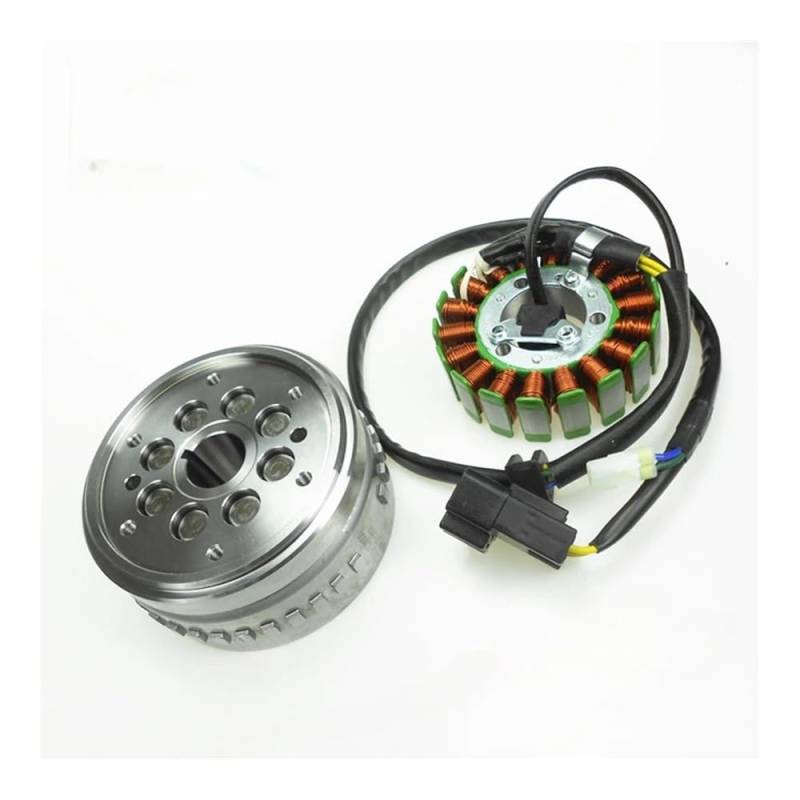 Statorspule Stator Spule Für Motorrad Zubehör Für CF250SR Stator Für NK250 Rotor Spule Kombination Magneto von SIGRIDS