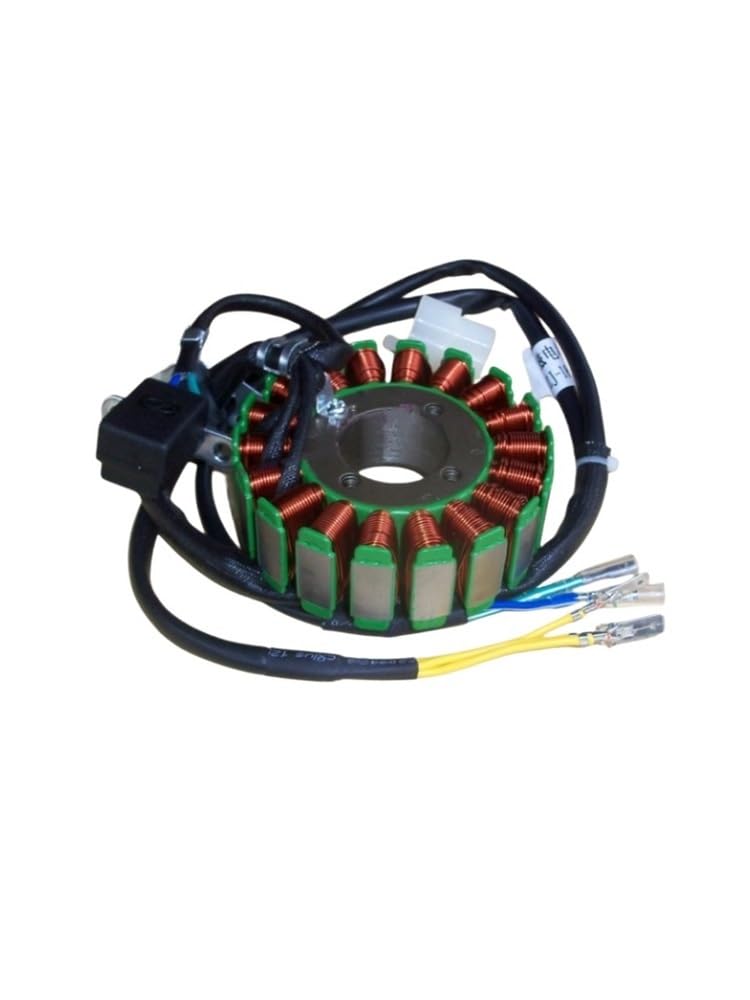 Statorspule Stator Spule Motorrad CG125 300 Passend Für Stromgenerator Spule Magnetmotor Stator 18 Pole 200 250W 350W von SIGRIDS