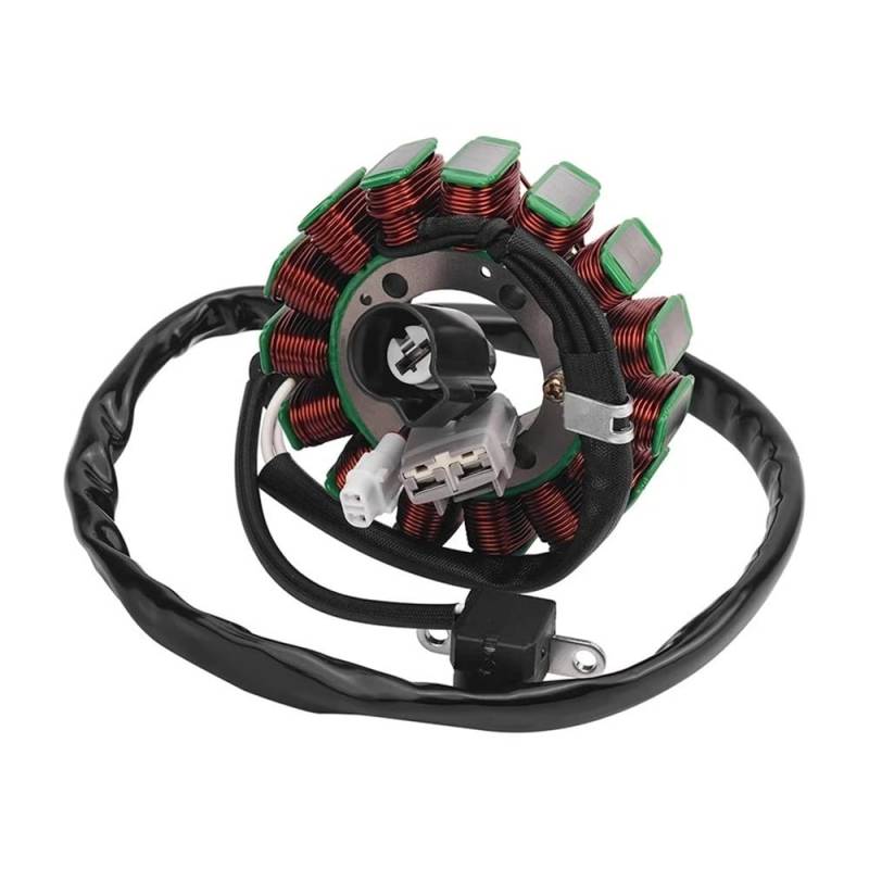 Statorspule Stator Spule Motorrad Generator Zündgerät Stator Spule Für YA&MAHA YXR700F Rhino 700 Sports Edition Hunter Ducks Unlimited YXC700 YXM700 von SIGRIDS