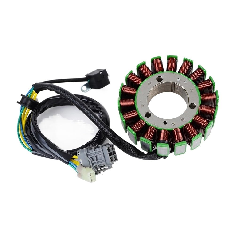 Statorspule Stator Spule Statorspule Für ca&n-am DS250 2008–2016, Motorteile, Generator, Magneto-Statorspule Für ca&n-am DS 250, Für Bombardier S31120RCA000 von SIGRIDS