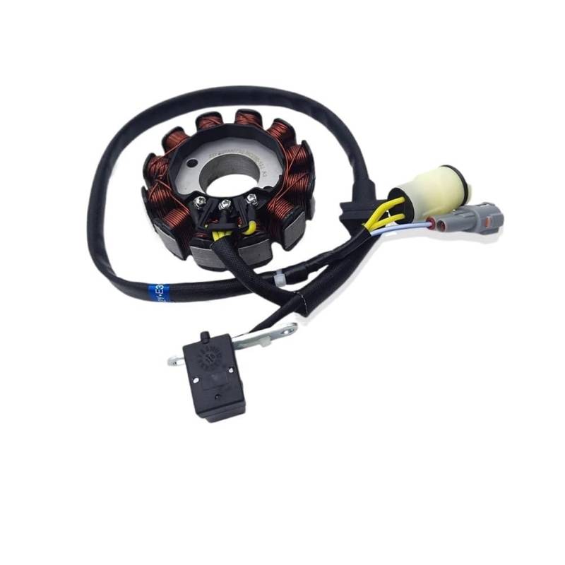 Statorspule Stator Spule ZS177MM ZS194MQ-2 Motorrad DC 12V Stator Spule Assy Magneto Generator Zündung Für ZONGSHEN NC250 NC450 MOTOLAND AVANTIS von SIGRIDS