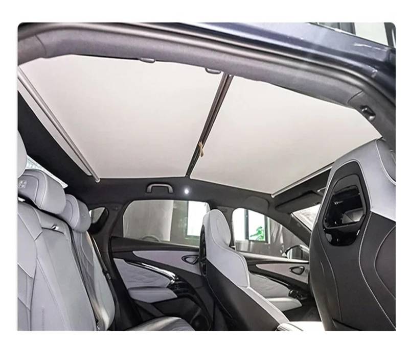 Car Shades Für BYD Für Seal Für ATTO 4 2022-2025 Auto Schiebedach Versenkbare Sonnenschirm Dachfenster Dach Wärmedämmung Schattierung Auto-Sonnenschutzschild(Gray) von SILHUP