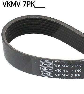 Skf Keilrippenriemen [Hersteller-Nr. VKMV7PK1104] für BMW von SKF