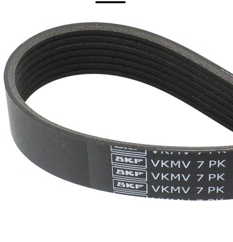 SKF VKMV 7PK1732 Multi-V-Riemen von SKF