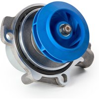 SKF Wasserpumpe Aquamax für Zahnriementrieb VKPC 81178 Kühlmittelpumpe,Kühlwasserpumpe VW,AUDI,SKODA,Golf VII Schrägheck (5G1, BQ1, BE1, BE2) von SKF