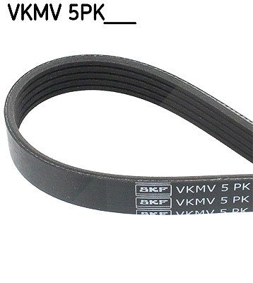 Skf Keilrippenriemen [Hersteller-Nr. VKMV5PK950] für BMW von SKF