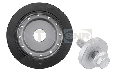 Snr Riemenscheibe, Kurbelwelle [Hersteller-Nr. DPF355.04K1] für Renault von SNR