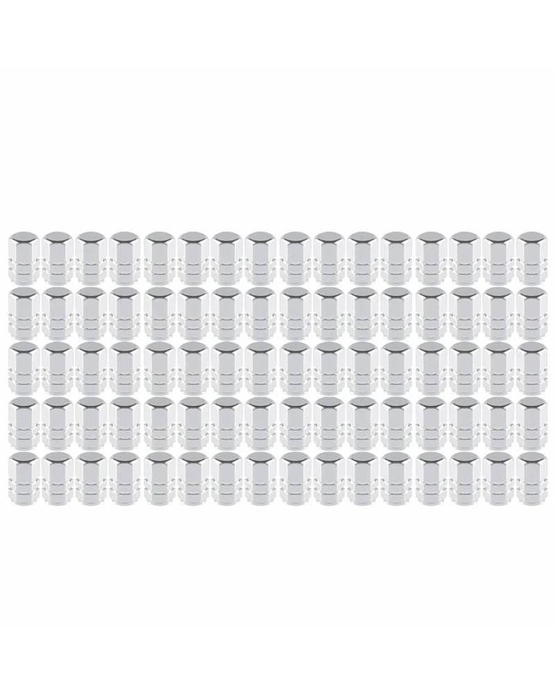 Ventilkappen 80PCS Aluminium Reifen Ventil Kappen Rad Ventil Kappen Auto Staubdicht Reifen Kappen Zubehör Ventilkappen Auto(Silver-20Bags) von SOHINI