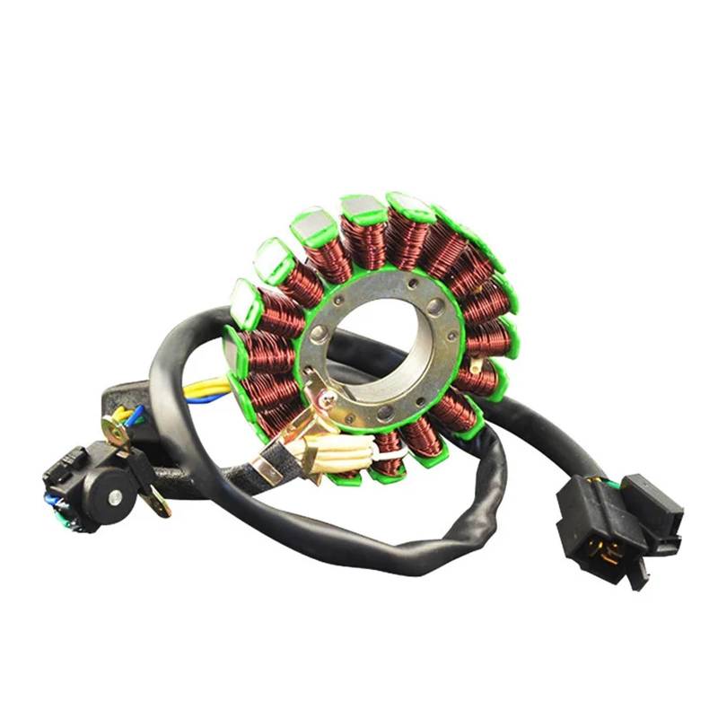 Motorrad Generator Stator Spule Comp for DR200 1995-2013 DF200 1996-2000 DR DF 200 1995 1996 1997 1998 1999 2000 2001 von SONGMIKY