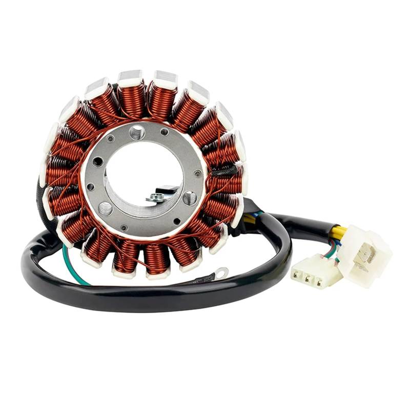 Motorrad Generator Stator Spule Comp for XR250 Tornado XR 250 Zubehör von SONGMIKY