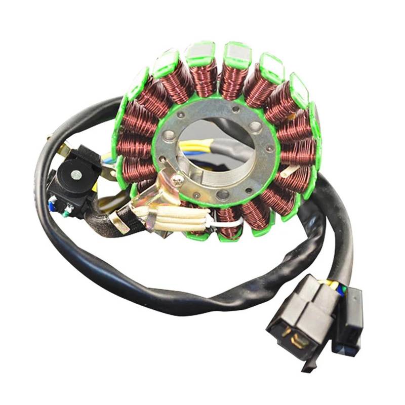 Motorrad Stator Spule Comp for DR200 DR 200 1995-2013 DF200 DF 200 1996 1997 1998 1999 2000 von SONGMIKY