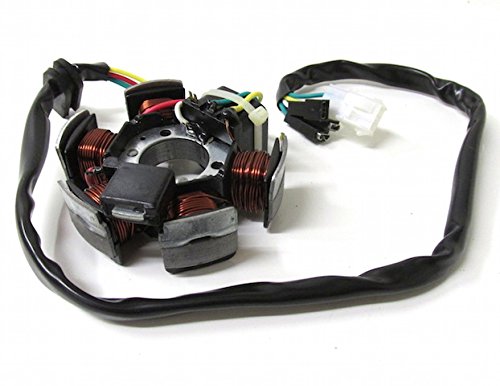 Lichtmaschine Zündung Stator passend für Aprilia SX RX, Derbi Senda R DRD, Gilera SMT RCR 50 von SP