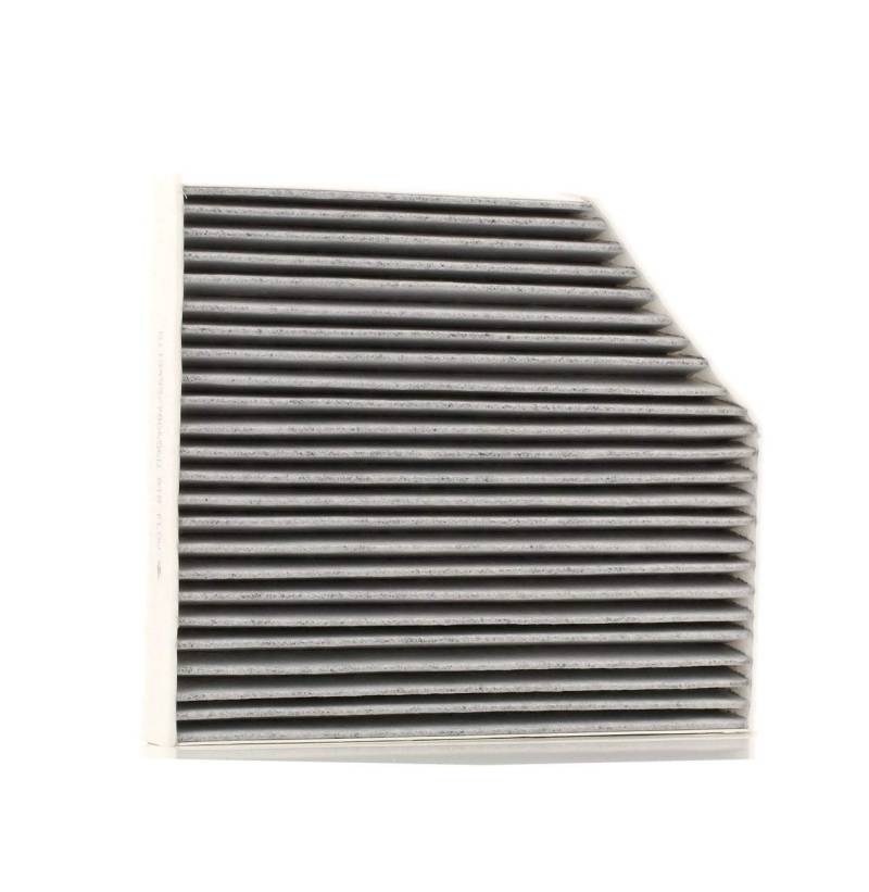 STARK SKIF-0170039 Filter, Innenraumluft Staubfilter, Pollenfilter, Mikrofilter von STARK