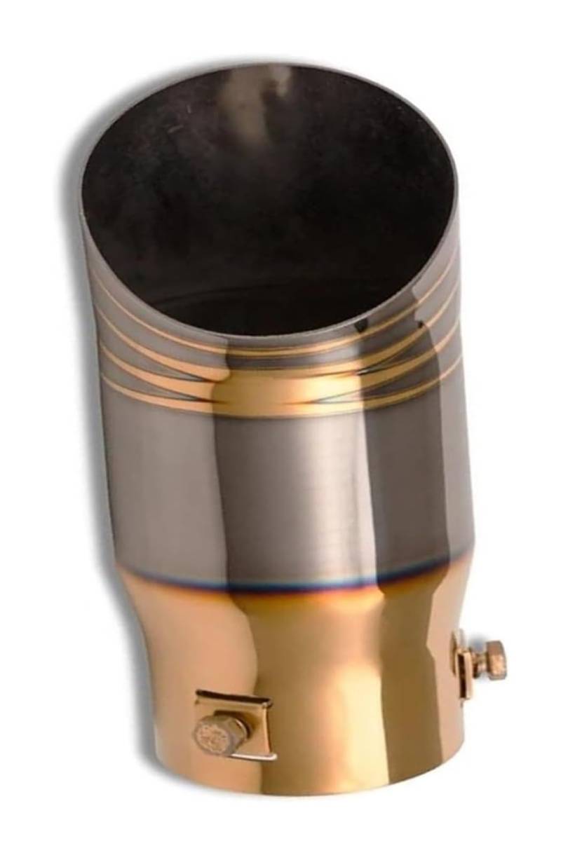 Auspuff Schalldämpfer Edelstahl Chrom Brunt Blue Auto Heckkehlenblende Heckeinlass 68 Mm Auspuffrohr Autozubehör Heckkehle(Gold Black) von STRJUS