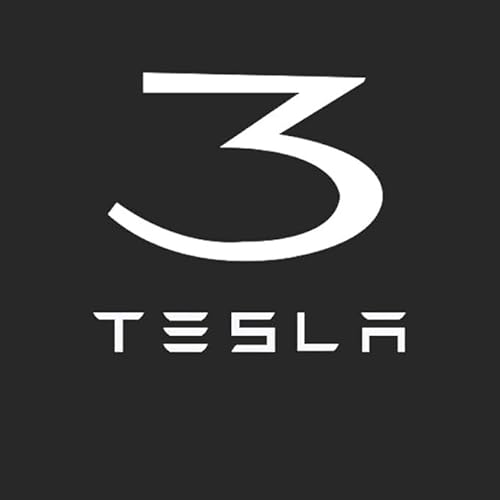 SWSKJELE Autotür Licht Projektor Türbeleuchtung für Tesla Model 3/Model X/Model Y/ModelS,LED Schatten Willkommen Autotür Türbeleuchtung Zubehör,2pcs von SWSKJELE