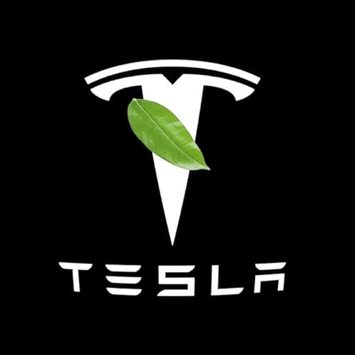 SWSKJELE Autotür Licht Projektor Türbeleuchtung für Tesla Model 3 Model S Model Y Model X,LED Schatten Willkommen Autotür Türbeleuchtung Zubehör,2PCS von SWSKJELE