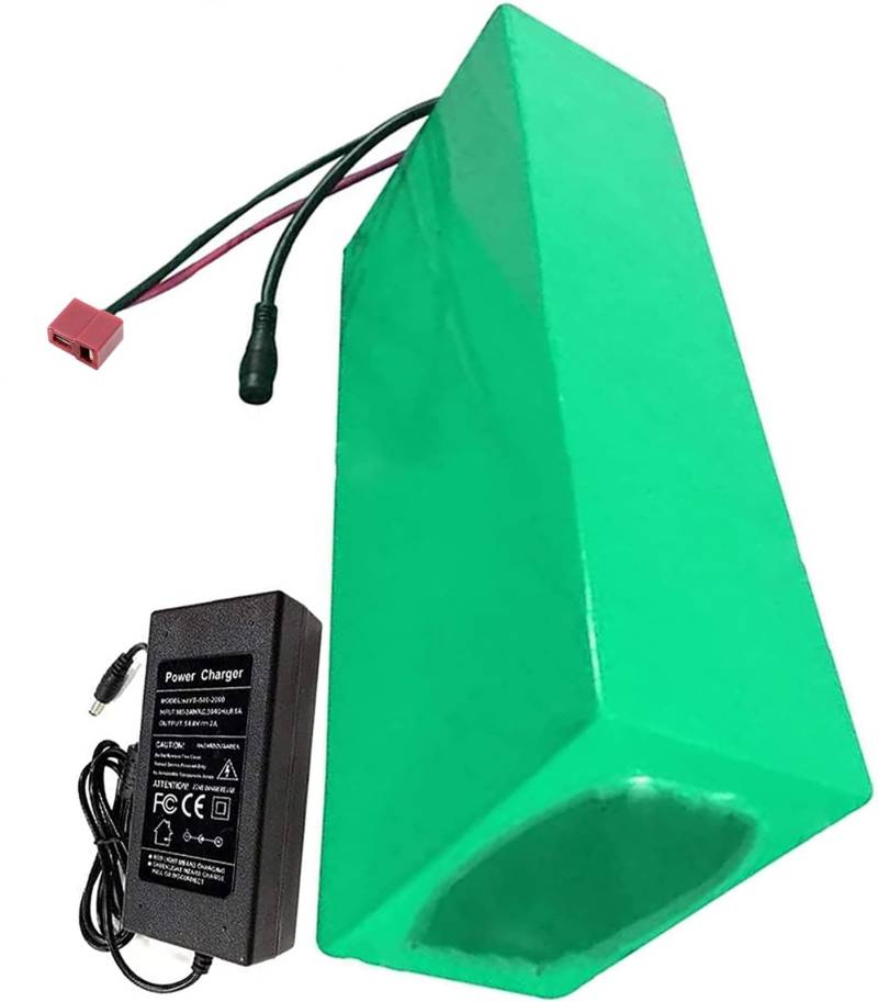 48V 10Ah/12Ah/15Ah/20/25/30Ah wiederaufladbare Lithiumbatterie, Pack mit BMS-Schutz Hochleistungsbatterie wasserdichtes PVC, für 200W 300W 400W 500W 800W 1000W Motor 48V 10AH (2),T von SXYKXYDL