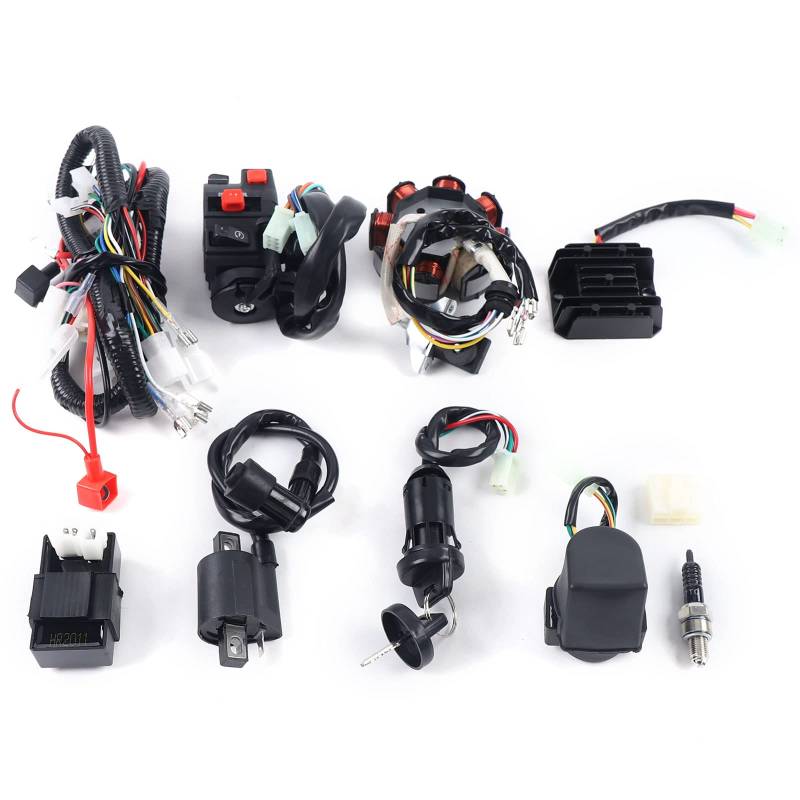 Salmeee ATV-Kabelbaum-Kit, Kabelbaum Satz, Motor Start Kabelbaum Bausatz für 150-250 300CC PIT Quad Dirt Bike ATV Dune Buggy Gleichrichter Zündanlage CDI Einheit von Salmeee