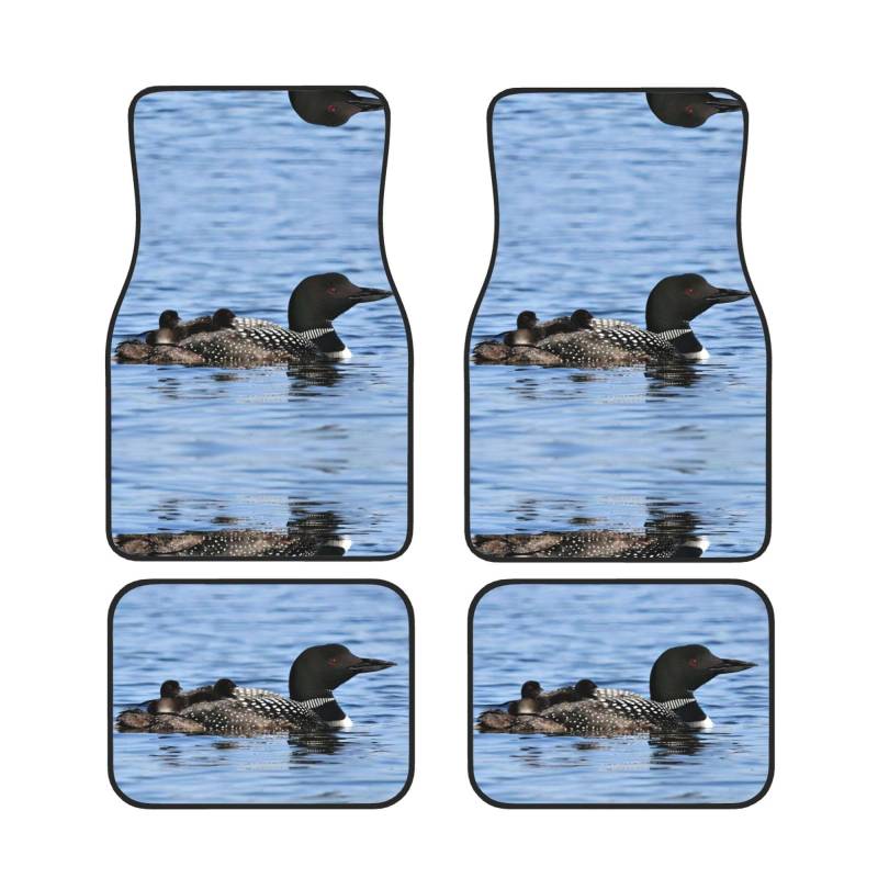 Universal Loon Birds Print Auto Fußmatten - 4-teiliges Set, Gummi-Rückseite, passend für die meisten SUVs, LKWs, Limousinen, Vans von SamLng