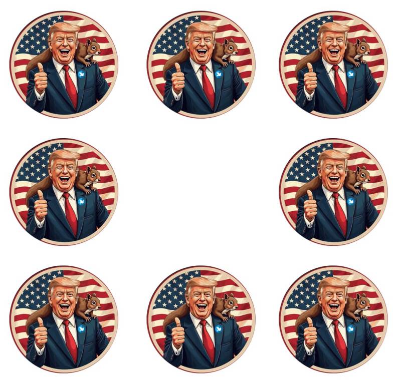 Sammys Shirt Store 192 Stück Aufkleber 4cm rund Trump und Eichhörnchen Peanut MAGA Sticker Sparpack gut haftend Aktiv Werden 5 cm von Sammys Shirt Store