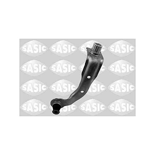 Sasic 2704091 Halter, Motor von Sasic