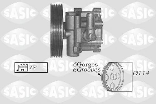 Sasic 7070013 Pumpe Servolenkung von Sasic