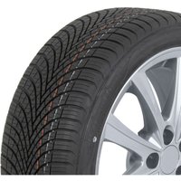 Ganzjahresreifen SAVA All Weather 165/65R15 81T von Sava