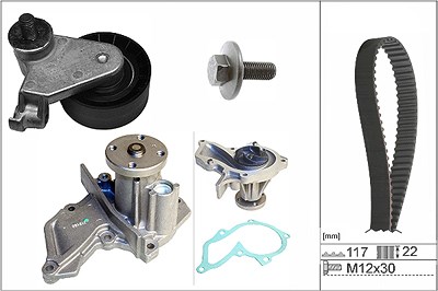 Schaeffler Ina Wasserpumpe + Zahnriemensatz [Hersteller-Nr. 530073530] für Ford von Schaeffler INA