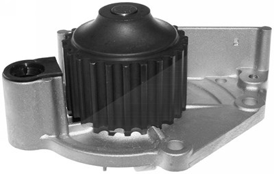 Schaeffler Ina Wasserpumpe [Hersteller-Nr. 538048510] für Land Rover von Schaeffler INA