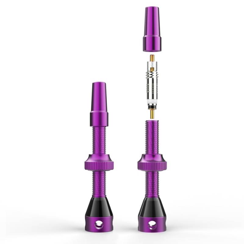 Shredr. Tubeless Ventile Set, Purple | Presta Ventile für Schlauchlos-Reifen | Superleichtes Alu, pink eloxiert, französisches Ventil | 44mm für Normale Tubeless-Felgen von Shredr.