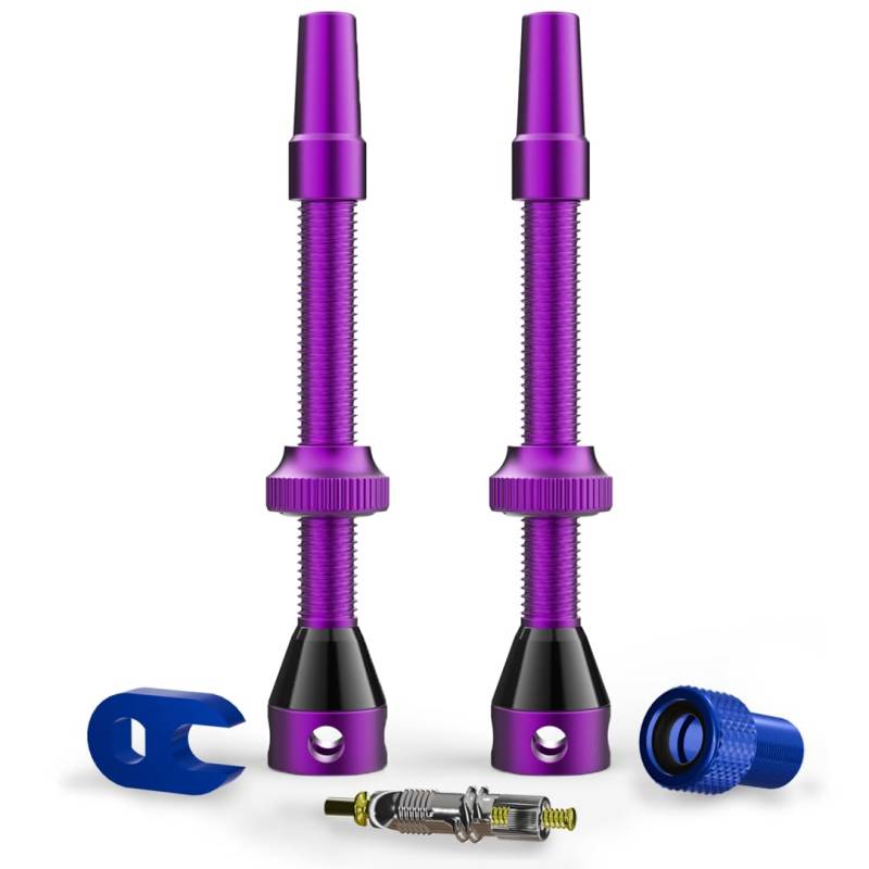 Shredr. Tubeless Ventile Set | Presta Ventile für Schlauchlos-Reifen | Superleichtes Alu, bunt eloxiert, französisches Ventil | inkl. Ventil-Adapter, Ersatz-Ventil und Werkzeug. (Purple, 60mm) von Shredr.