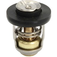 Thermostat SIERRA 18-3541 von Sierra