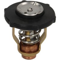 Thermostat SIERRA 18-3639 von Sierra