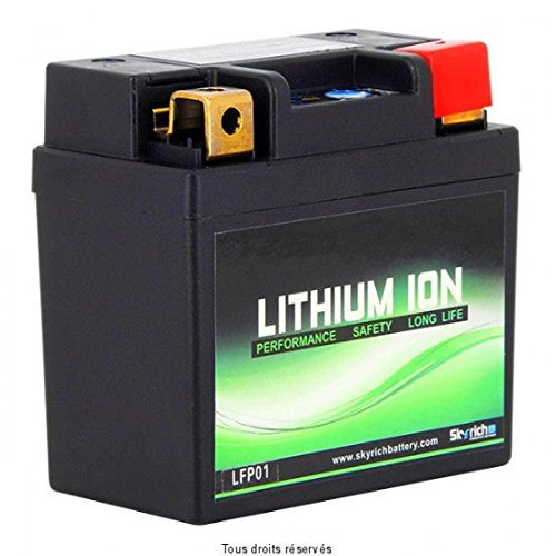 BATTERIE LFP01 SKYRICH LITHIUM von Skyrich